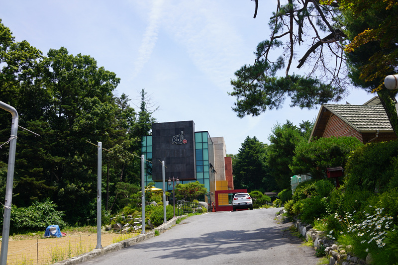 20180622_008_rx1-1.jpg